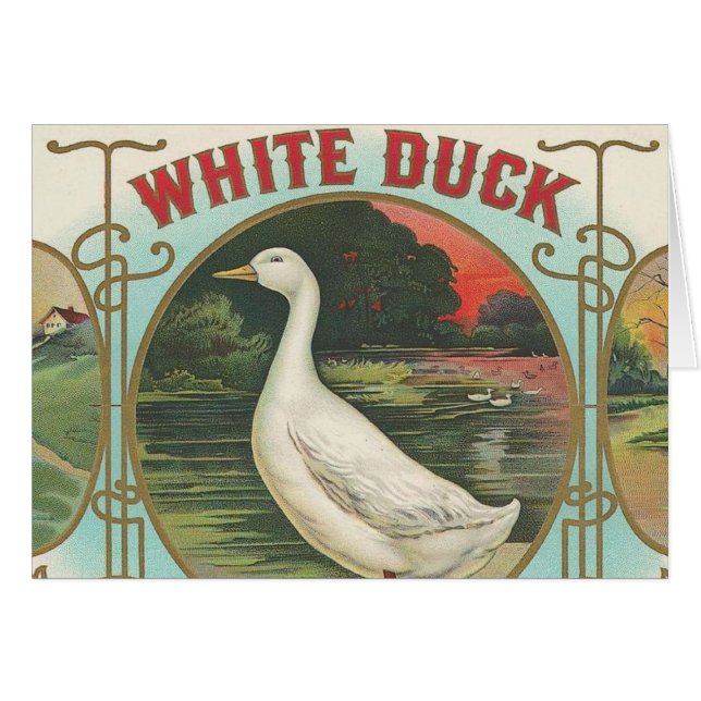 White Duck (Voorkant Horizontaal)