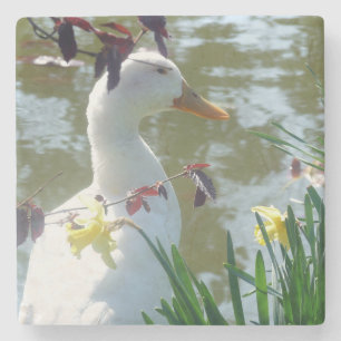 White Duck in Yellow Daffodils Onderzetter