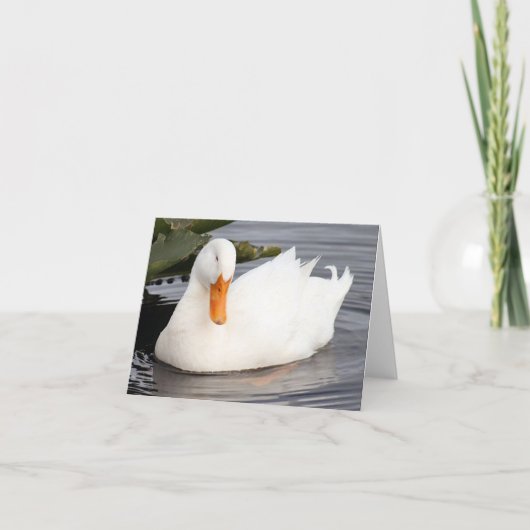 White Duck Photo Folded Note Kaart (Voorkant)