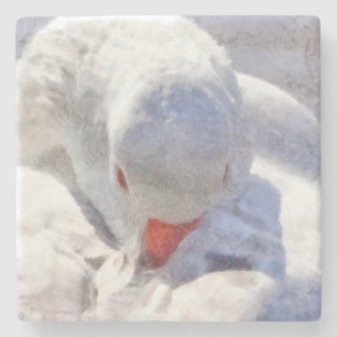 White Duck Preening Art Stenen Onderzetter