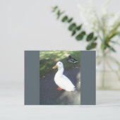 White Duck Spalding Briefkaart (Staand voorkant)