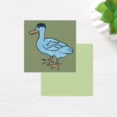 White duck with black head (Bureau)