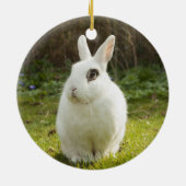 White Dwarf Hotot Bunny Rabbit Keramisch Ornament (Achterkant)