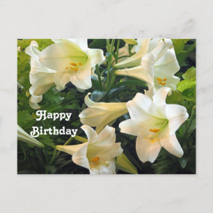  White Easter Lilies Floral Foto Birthday Briefkaart