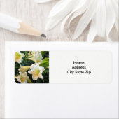 White Easter Lilies Floral Foto Etiket (Insitu)