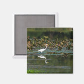 White Egret Reflection Magneet (Voorkant / Achterkant)