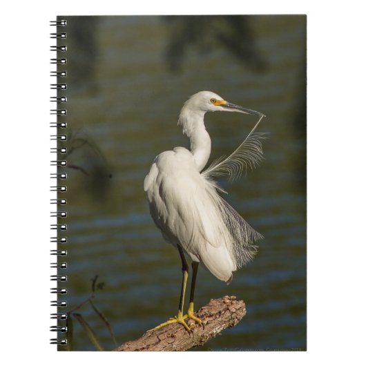 White Egret Spiral Photo Notebook Notitieboek (Voorkant)