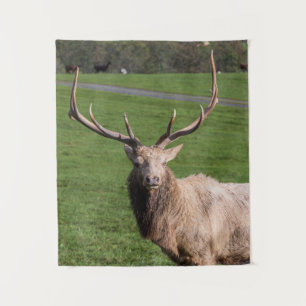 White Elk Tapestry Wandkleed