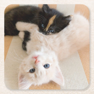 White en Black Kittens Vierkante Kartonnen Onderzetter