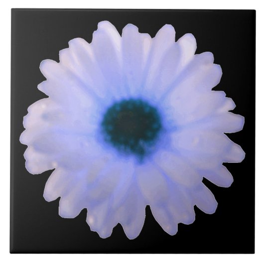 White en Blue Marigold Tile Tegeltje (Voorkant)