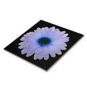 White en Blue Marigold Tile Tegeltje (Zijkant)