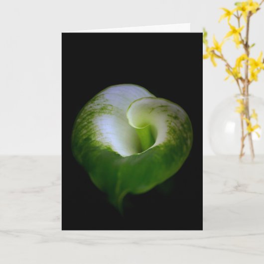 White en Green Calla Lily Flower Note Kaart (Gele Bloem)