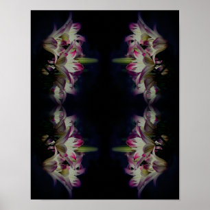White en Red Lily Flowers Abstract Poster
