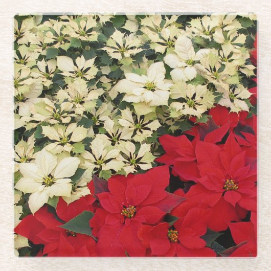 White en Red Poinsettias I Holiday Floral Glazen Onderzetter (Voorkant)