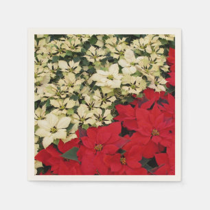 White en Red Poinsettias I Holiday Floral Servet