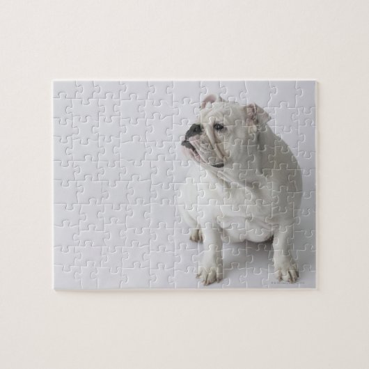 White English Bulldog Legpuzzel (Horizontaal)