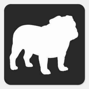 White English Bulldog Silhouette Vierkante Sticker