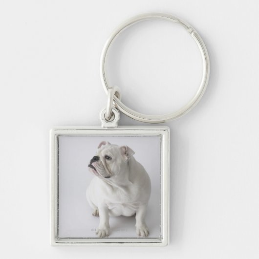 White English Bulldog Sleutelhanger (Voorkant)