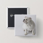 White English Bulldog Vierkante Button 5,1 Cm (Voorkant /achterkant)