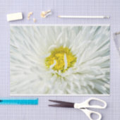White English Daisy Flower Tissuepapier (Craft)