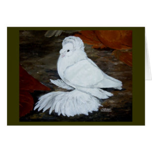 White English Trumpeter