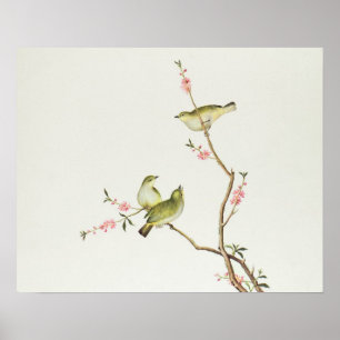 White-Eye bird, Ch'ien-lung period Poster