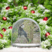 White -faced  black kitty (Noël)