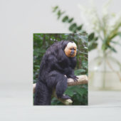 White Faced Saki Monkey Briefkaart (Staand voorkant)