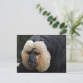 White Faced Saki Monkey Briefkaart (Staand voorkant)