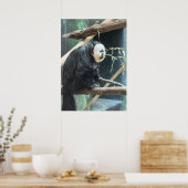 White-faced Saki Monkey Poster (Cuisine)