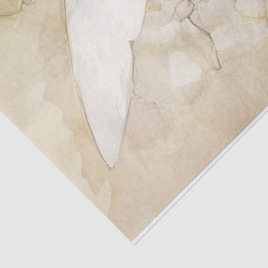 White Fairy Tissuepapier (Detail)