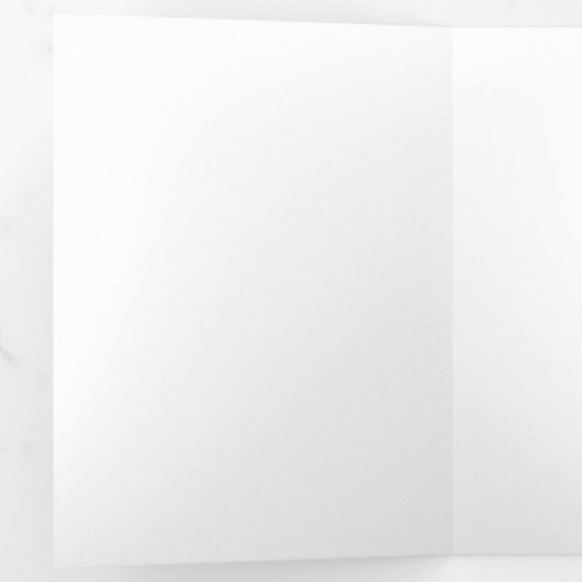 White #FFFFFF, Aqua Haze Drieluik Wenskaart (Binnenzijde eerst)