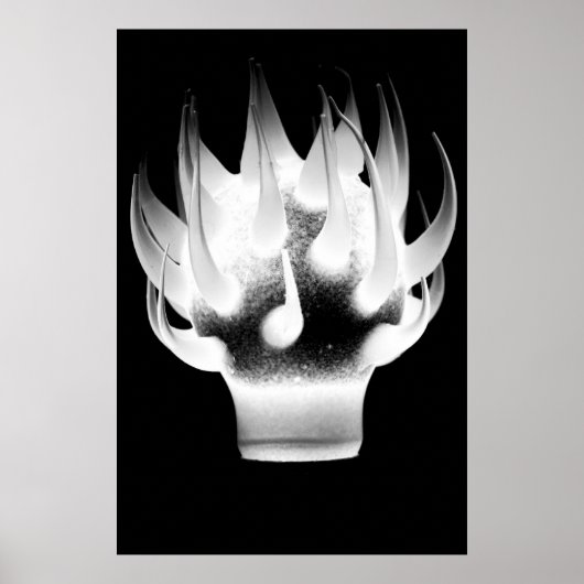 White Flame Poster (Voorkant)