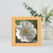 White Floral Photography Birthday (Staand voorkant)