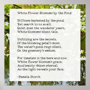 White Flower Blossoms van het Vijvergedicht Poster