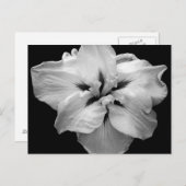 White Flower Briefkaart (Voorkant / Achterkant)