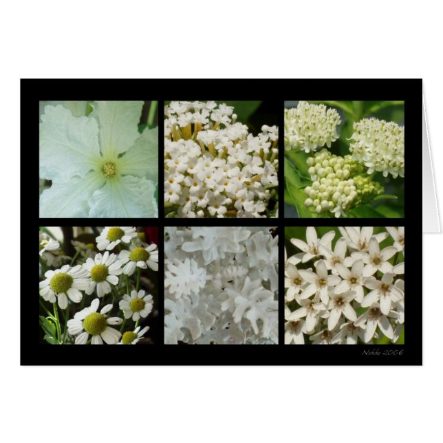 White Flower Card (Voorkant Horizontaal)