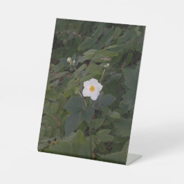 White Flower Photo Reclamebord Met Voetstuk
