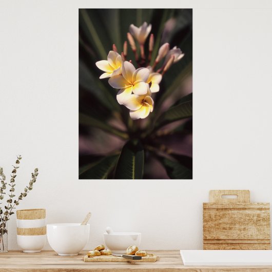 White Flower Poster Paper (Matte) (Keuken)