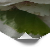 White Flower Poster Perfect Poster (Hoek)