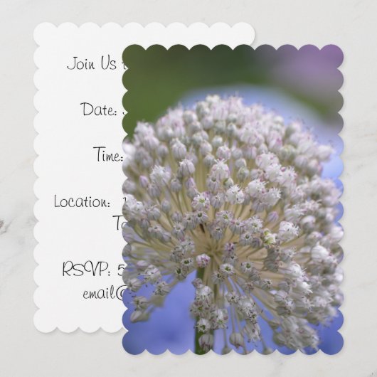 White Flowering Allium Kaart (Voorkant / Achterkant)