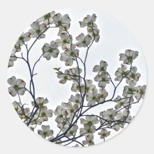 White Flowering Dogwood Ronde Sticker (Voorkant)