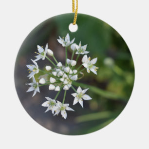 White Flowers Delicate Floral Blossom Natuur Foto Keramisch Ornament