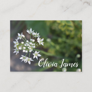 White Flowers Delicate Floral Blossom Natuur Foto Visitekaartje