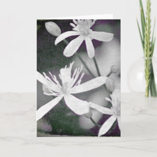 White Flowers Kaart