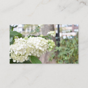 White Flowers New York Architecture Floral Foto Visitekaartje