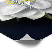 White Flowers Poster (Hoek)