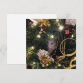 White Fluffy Cat in kerstmis Wreated Feestdagenkaart (Voorkant / Achterkant)