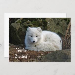 White Fox Photo Birthday Kaart