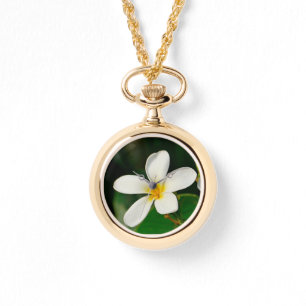 White Frangipani Horloge